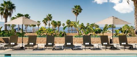 Hotel Features & Amenities 